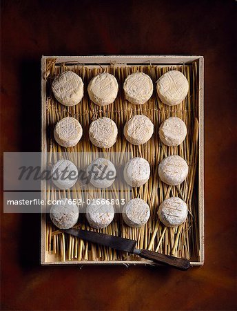 Variety of goat cheeses