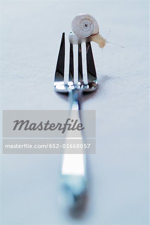 snail on fork