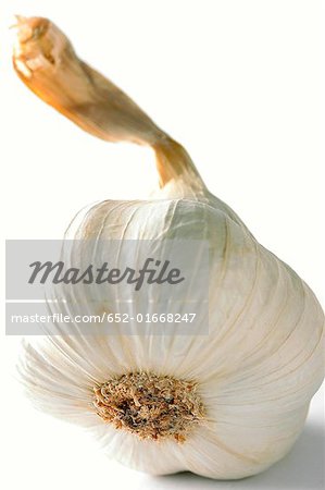 clove of garlic