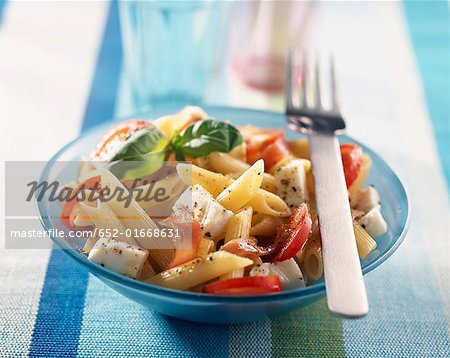 Penne, roher Schinken, Tomaten und Mozzarella-Salat