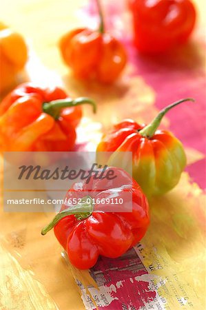 West Indian peppers