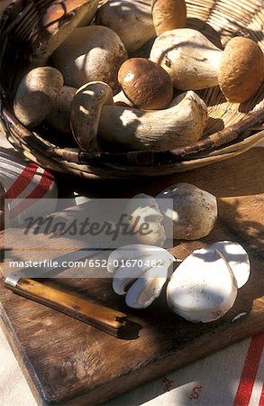 Cep mushrooms