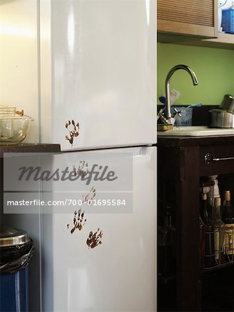 Child's Handprints on Refrigerator