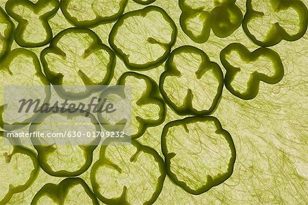 Close-up of green bell pepper slices