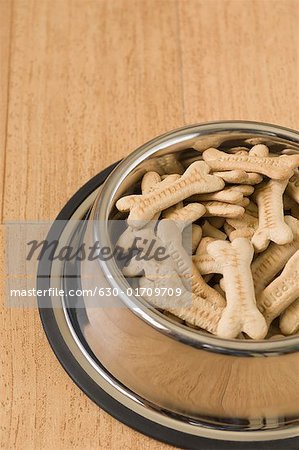 Close-up of dog biscuits in a dog bowl
