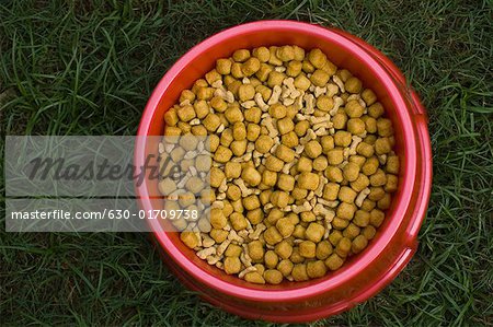 High angle view of dog food in a dog bowl
