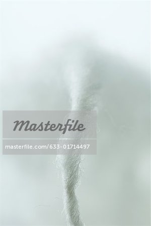 Twisted cotton, extreme close-up Twisted cotton, extreme close-up
