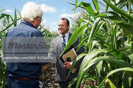 Farmer and Businessman in Cornfield