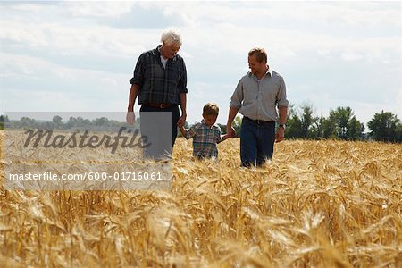 Grand-père, père et fils se promenant dans le champ de blé