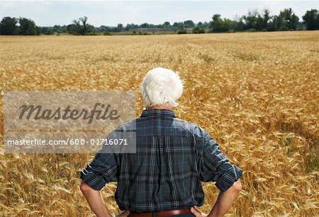 Homme debout dans le champ de blé
