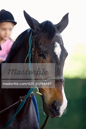 Girl riding a horse