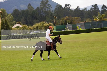 Side profile of a man playing polo