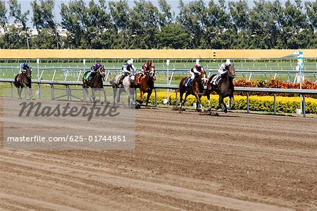 Group of jockeys riding horses in a horse race