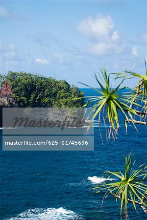 Cliff overlooking the sea, Hawaii Tropical Botanical Garden, Hilo, Big Island, Hawaii Islands, USA