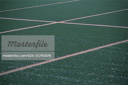 Aerial of farm fields