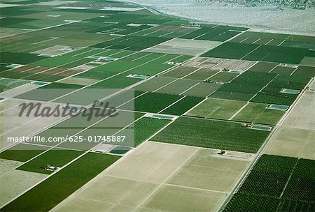 Desert agriculture, Imperial Valley, California