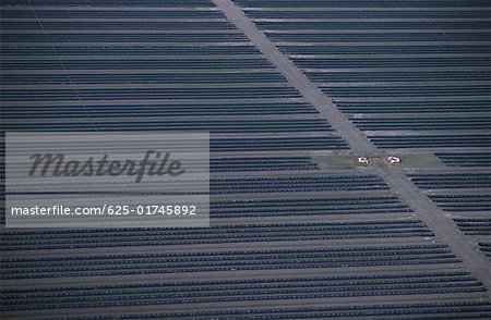 Aerial of strawberry farm, Florida