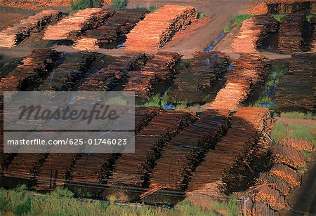 Large commercial sawmill, Idaho, USA