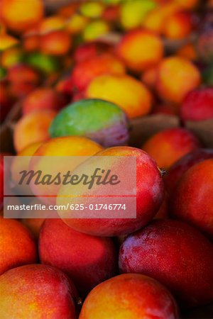 Close-up of mangoes