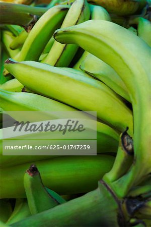 Gros plan de Banane Plantain