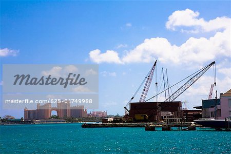 Cranes at a harbor, Nassau, Bahamas
