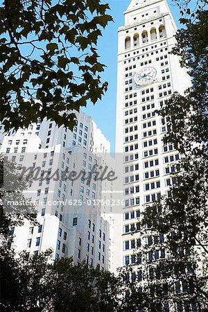 Low angle view of skyscrapers, New York City, New York State, USA