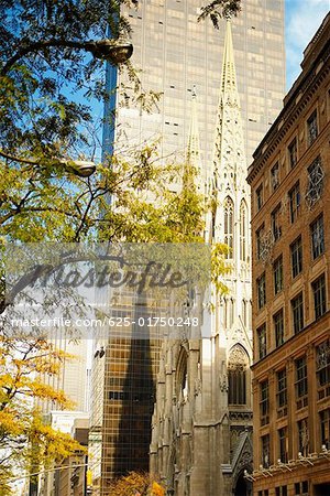 Faible vue d'angle d'une église, Saint-Patrick cathédrale, Manhattan, New York City, New York State, USA