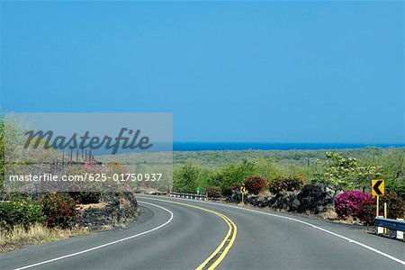Straße durch eine Landschaft, Honaunau, Kona Küste, Inseln Big Island, Hawaii, USA