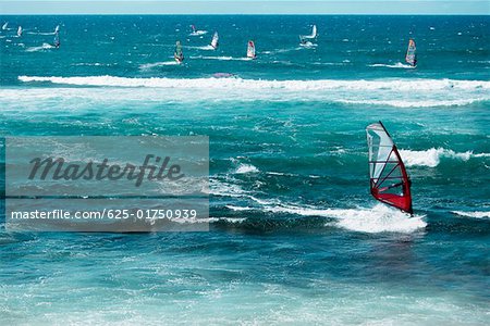 Windsurfbretter auf den Inseln Meer, Hookipa Beach, Maui, Hawaii, USA