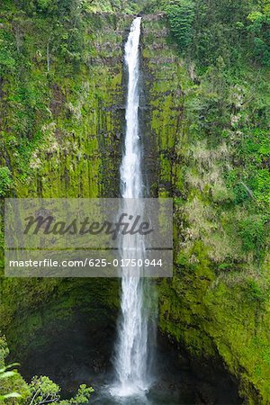 Wasserfall in einem Wald, Akaka Falls, Akaka Falls State Park, Hilo, Big Island, Hawaii Inseln, USA