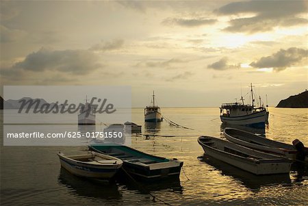 Boats anchored at the port, Taganga Bay, Departamento De Magdalena, Colombia