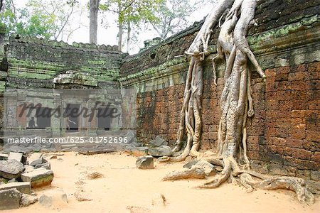 Old ruins of a temple, Angkor Wat Siem Reap, Cambodia