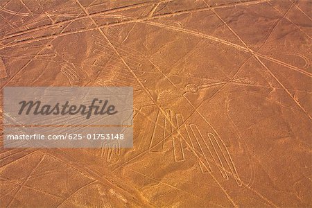Erhöhte Ansicht der Nazca-Linien, Nazca, Peru