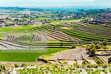 High angle view of a terraced field, Sabandia, Arequipa, Peru