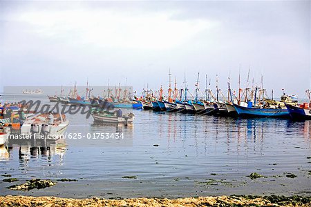 Fishing boats docked at a commercial dock, Chaco, Peru