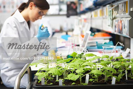 Scientist in Lab