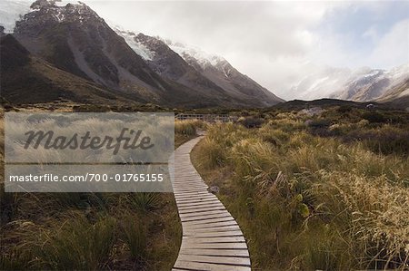 Boardwalk through Valley, Hooker Valley, Aoraki, Canterbury, New Zealand