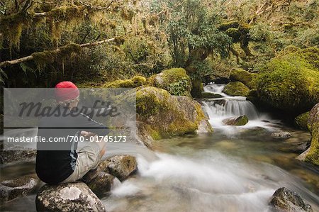 Man Watching Rapids in Creek, Fiordland National Park, South Island, New Zealand