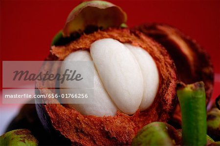 Mangosteen