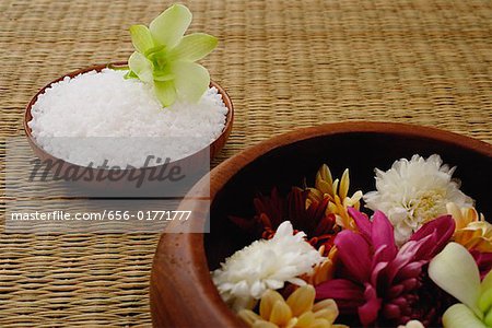 Still life of flowers in bowl and a single flower head on bowl of rice