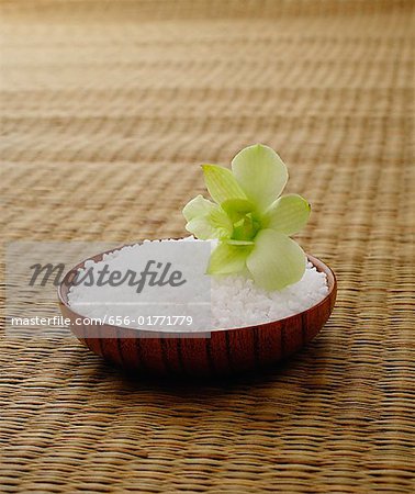 Single flower on bowl of rice