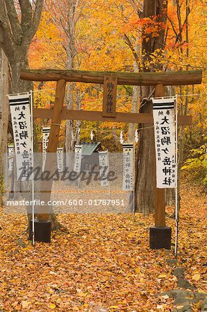 Torii, Onuma Quasi-National Park, Hokkaido, Japan