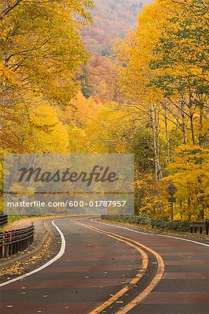 Road in Autumn, Shikotsu-Toya National Park, Hokkaido, Japan