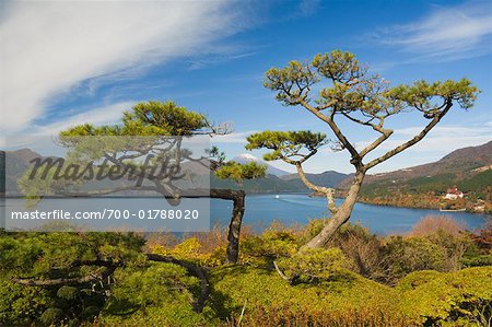 Ashinoke and Mount Fuji, Hakone, Honshu, Japan Ashinoke and Mount Fuji, Hakone, Honshu, Japan