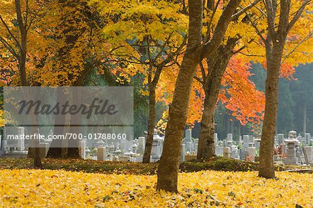 Okunoin Graveyard, Koyasan, Japan