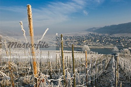 Weingut und Mosel, Deutschland