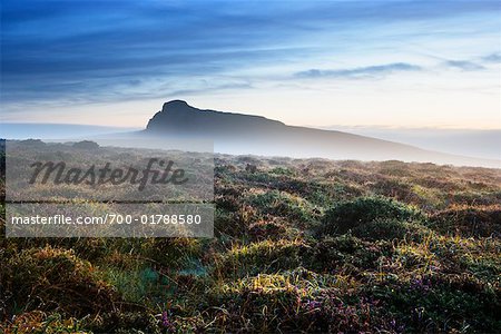 Dawn Mist around Haytor Rocks, Dartmoor National Park, Devon, England