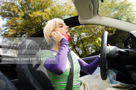 Woman With Road Map, Talking on Cell Phone While Driving