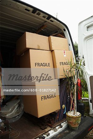 Boxes and Plant in Back of Van