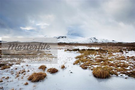 Rannoch Moor, Scotland